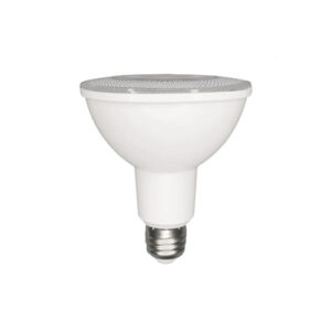 FOCO LED PAR30 12W